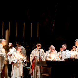 2025 Osternacht / Erzdiözese Wien/Schönlaub