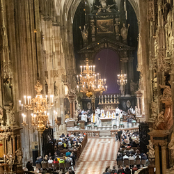 2025 Gründonnerstag / Erzdiözese Wien/Schönlaub, Stephan Schönlaub