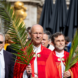 2025 Palmsonntag / Erzdiözese Wien/ Schönlaub, Stephan Schönlaub