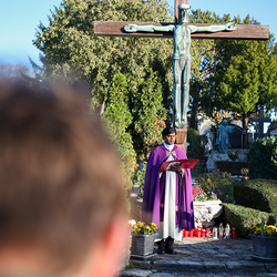 Erzdiözese Wien/Schönlaub