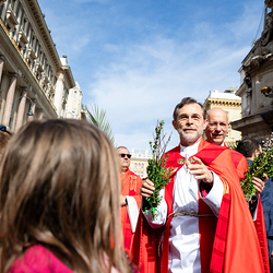 2025 Palmsonntag / Erzdiözese Wien/ Schönlaub, Stephan Schönlaub