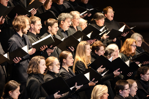 Domchor singt im Stephansdom