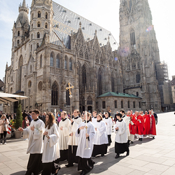 2025 Palmsonntag / Erzdiözese Wien/ Schönlaub, Stephan Schönlaub