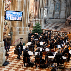 Stephanifest / Erzdiözese Wien/Schönlaub, Stephan Schönlaub