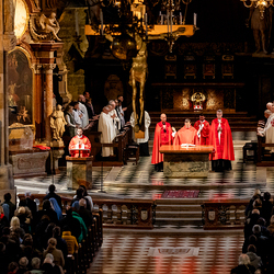 2025 Karfreitag / Erzdiözese Wien/Schönlaub