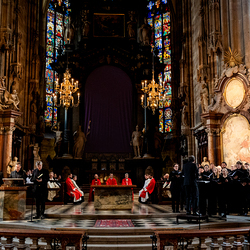 2025 Karfreitag / Erzdiözese Wien/Schönlaub