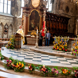 Fiacriusmesse 2025 / Erzdiözese Wien/Schönlaub, Stephan Schönlaub