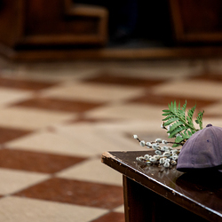 2025 Palmsonntag / Erzdiözese Wien/ Schönlaub, Stephan Schönlaub