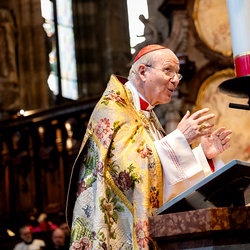 Te-Deum Papst Leo XIV / Erzdiözese Wien/Schönlaub, Stephan Schönlaub