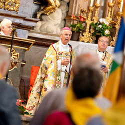 400 Mesnerinnen und Mesner bei österreichweiter Wallfahrt / Erzdiözese Wien/Schönlaub, Stephan Schönlaub 400 Mesnerinnen und Mesner bei österreichweiter Wallfahrt